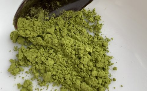 抹茶の賞味期限はどれくらい？ダニや劣化の危険は？保存方法も！