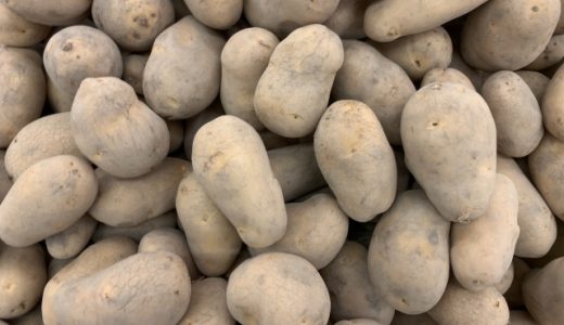 男爵・メークイン・キタアカリの違いは?煮込み料理に向いているのは?