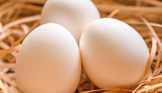 生卵でお腹壊すのは何時間後?サルモネラ菌とは?食べてはいけない人
