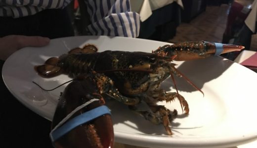 ロブスターは生食で食べられる？刺身は？旬の時期や調理方法も紹介