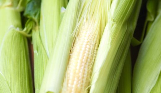 ヤングコーンの冷凍保存方法を紹介！日持ちのコツや腐りの見分けも