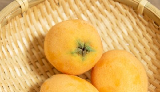 びわの葉の保存方法を紹介！栄養素や食べ方・採取方法も