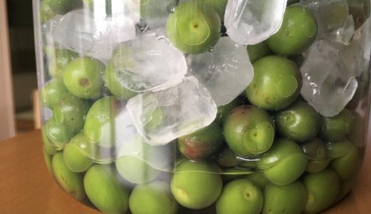 豊後梅と南高梅の違いはなに？収穫時期やお勧めの食べ方について