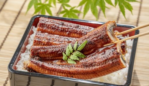 鰻とアナゴの違いは何？味の違いは？旬の時期や食べ方も
