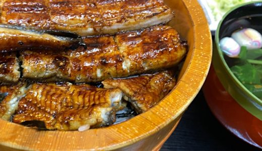 うなぎ以外を使ったひつまぶしが誕生している?お家で作るレシピも紹介!