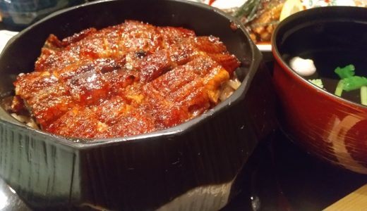 鰻は何歳(いつ)から食べられる？子どもへの注意点や栄養素を紹介！