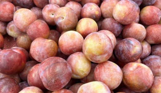 ソルダムとプラムの違いとは何?ネクタリンとの違いも紹介!