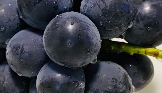 ぶどうが体に悪いといわれる理由は?下痢になる?食べるときの注意点
