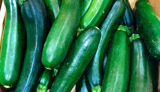 ウリ科のアレルギー食材はどんな物がある?メロンやスイカも?