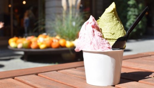 ジェラートの賞味期限はどれくらい?一番美味しい温度は何度?