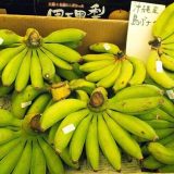 島バナナの食べ頃はいつ？どうやって収穫するの？どんな味がするの？