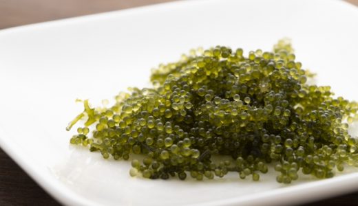 海ぶどうを保存する方法を紹介！下処理の仕方や日持ちのコツも