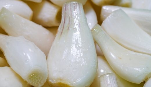らっきょうの保存はタッパーが基本？日持ちのコツや作り方を紹介