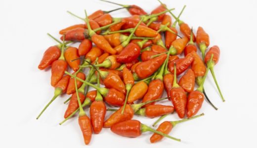島とうがらしの辛さはどれくらい?栄養･効果効能｜旬の時期は?