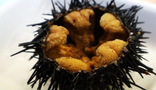 塩水うには食感も甘みも絶妙な生うに!板うにとの違いも解説!