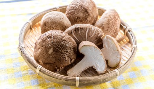 どんことは何？美味しくする戻し方や椎茸との違いを紹介！