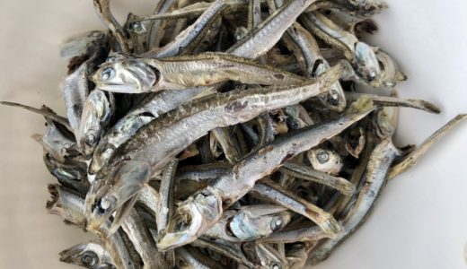 いりこの粉末は生臭い?煮干しとの違い｜食べ過ぎは体に悪い?