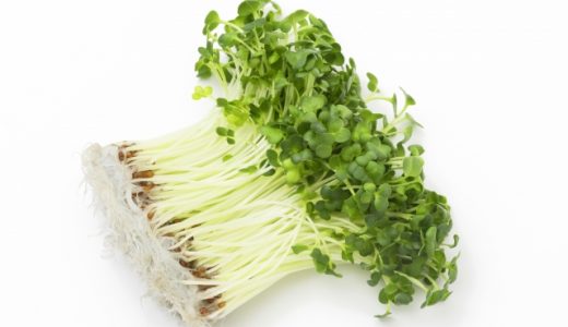 かいわれ大根の食べ過ぎで胃痛？原因はアリルプロピオン！適量やレシピ