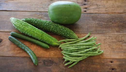 白瓜と冬瓜の違いを解説！味の違いや旬の時期・食べ方も