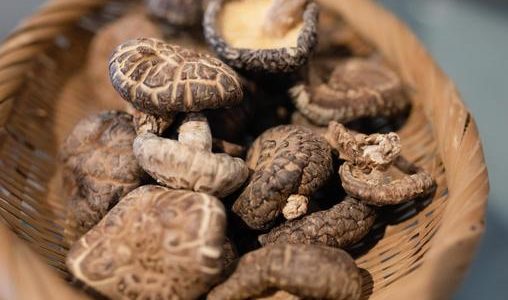 生どんこ･しいたけ(椎茸)の違い｜食べ方･保存方法･特徴は?