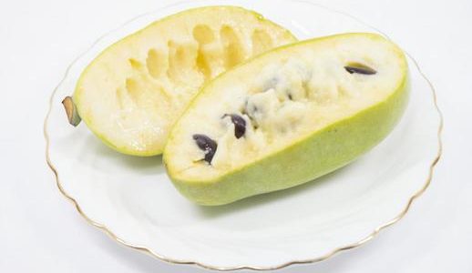 ポポーは臭い?まずい?どんな味?毒性･食中毒は?食べ方･食べ頃