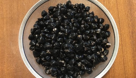 しじみでアレルギー？症状・対処法は？他の貝は？子供・赤ちゃんは大丈夫？