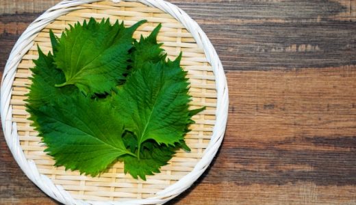 しその醤油漬けの保存方法！長期保存に！おにぎりに使える？