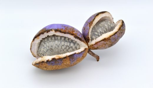 アケビに毒性･アレルギーはある?皮も食べられる?食べ方は?