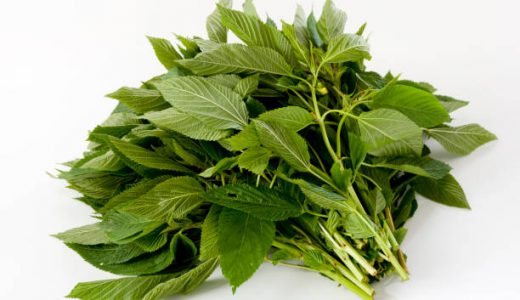 モロヘイヤの毒性はどこに含まれる?食べ方の注意点･食べた時の症状