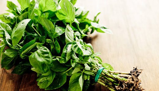 バジルと食べ合わせが良い食べ物｜効能･栄養成分･使い道は?