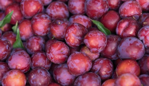 ソルダムはどんな味?すもも･プラムとの違い｜食べ方･栄養は?