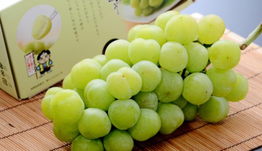 桃太郎ぶどう･瀬戸ジャイアンツ･シャインマスカットの違い｜味･糖度