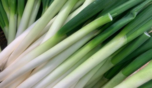長ネギの青い部分は食べられる?使い方は?大量消費は?栄養は?スープに?