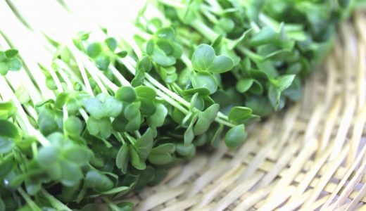 かいわれ大根を食べ過ぎると下痢・腹痛に！？食中毒の危険はある？