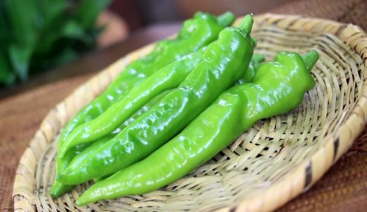 万願寺とうがらしに辛いのが入っている確率は？見分け方ってある？