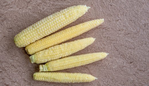 ヤングコーンはそのまま食べられる?洗わなくてもいいの?栄養は?