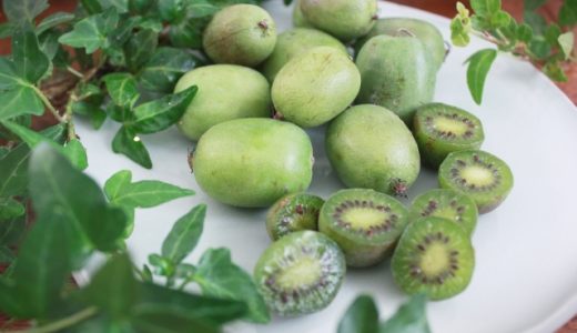 ベビーキウイの食べ過ぎは下痢･腹痛･アレルギーに?太る?