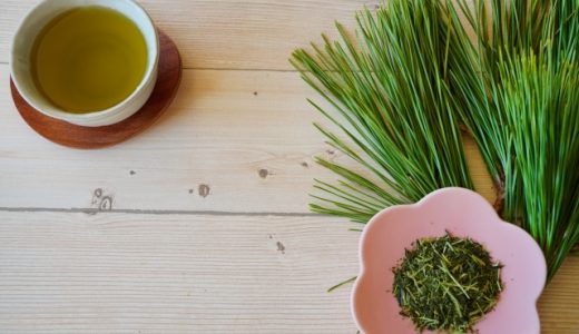 松葉茶を飲んだら下痢・腹痛に！優れた効能に隠れた副作用とは？