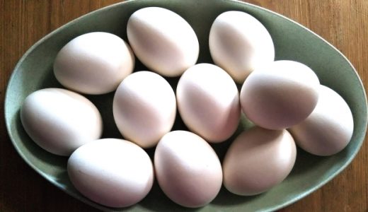 ゆで卵が苦いのはなぜ?腐ってる証拠?食べると危険?食べても大丈夫?