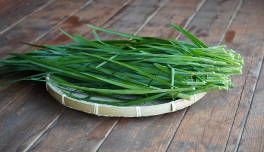 ニラのアレルギーは大人になってから発症する？原因や対処法を紹介