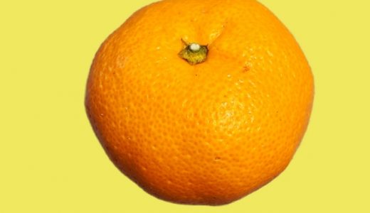 ハウスみかんの保存方法｜かごに？冷凍？冷蔵庫での日持ちは？大量消費は