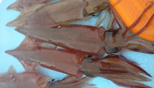 よっちゃんイカはイカじゃない?イカ以外に使われているものは?