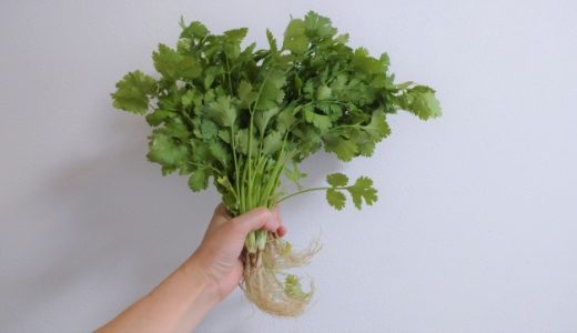 パクチーの味はまずい？美味しい？食べ方や味の口コミを紹介！