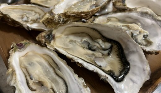 カキは何歳から食べられる?食中毒やアレルギーにも注意が必要!