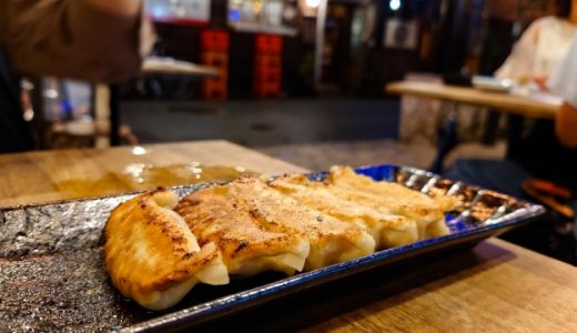 餃子で冷蔵庫がべちゃべちゃに？保存でよくある失敗の原因や対策を紹介！