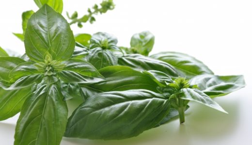 バジルで下痢に?アレルギー?症状は?食中毒のリスクは?食べ合わせは?