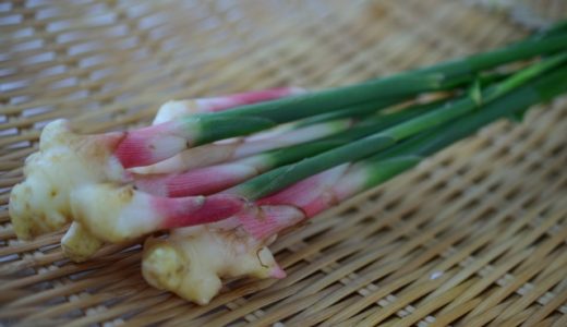谷中生姜の美味しい食べ方とは？葉生姜はどこまで食べてもいいの？