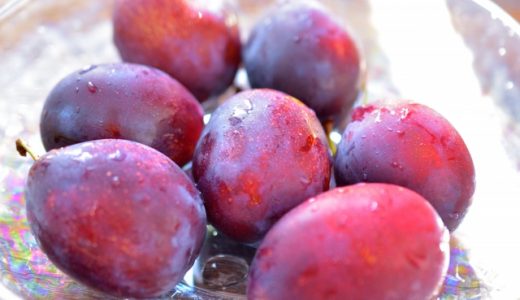 プルーンは何科の果物?貧血以外にどんな効果が期待できるの? 