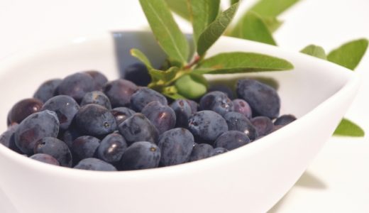 ハスカップを食べ過ぎると?カロリーは?アレルギーは?効能は?食べ方は