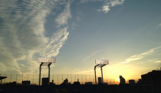 ヤクルト1000の副作用やデメリットは?どんな特徴・効果があるの?